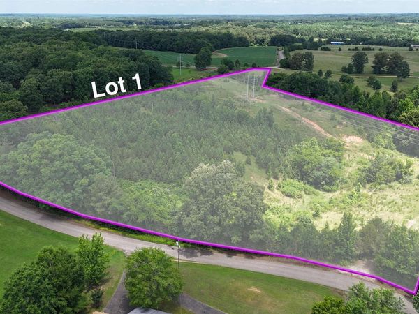 0 BEAUTY HILL RD, Bethel Springs, TN 38315