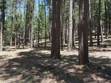397 Main Ranch Road, Quincy, CA 95971 Photo