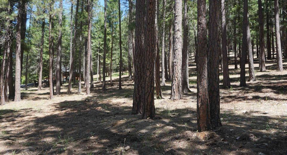 397 Main Ranch Road, Quincy, CA 95971 Photo