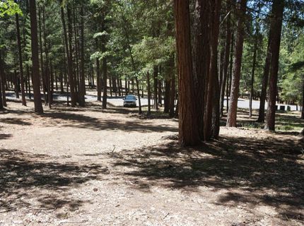 397 Main Ranch Road, Quincy, CA 95971 Photo