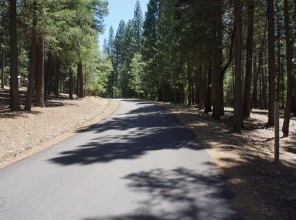 397 Main Ranch Road, Quincy, CA 95971 Photo