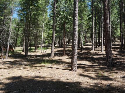397 Main Ranch Road, Quincy, CA 95971 Photo