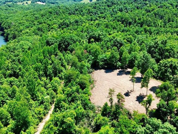 165A Open Fork Road , Olive Hill, KY 41164