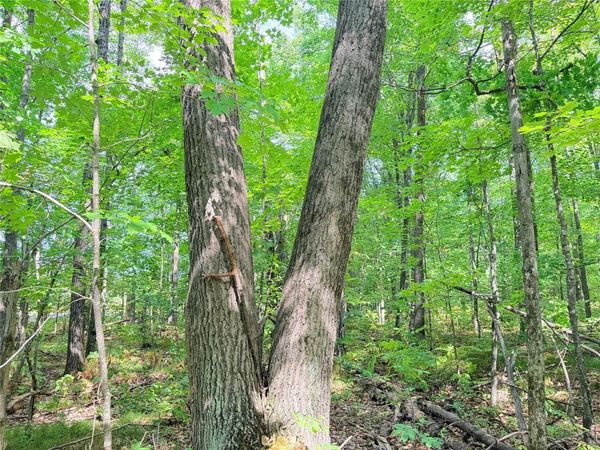 Lot 4 County Highway X, Glen Flora, WI 54526