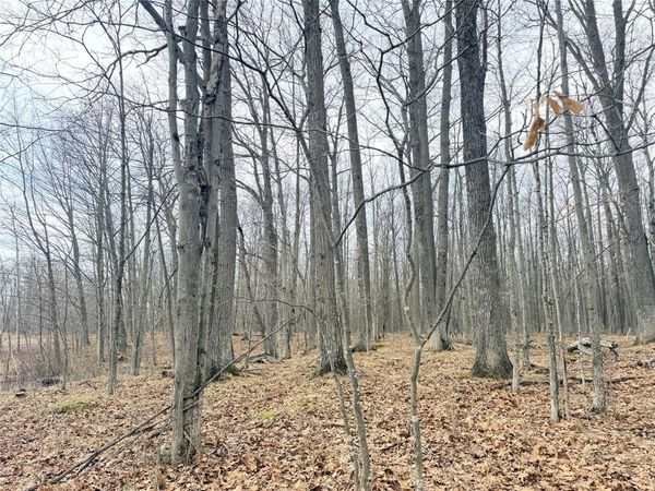 Lot 4 Hwy X, Glen Flora, WI 54526