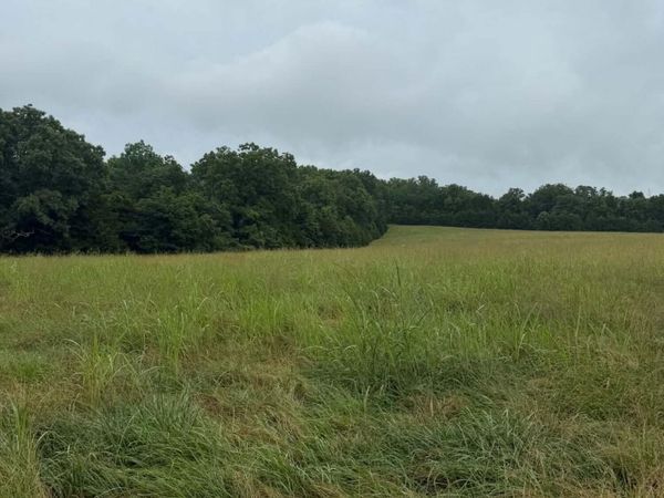 227 J Lea Lane , Theodosia, MO 65761