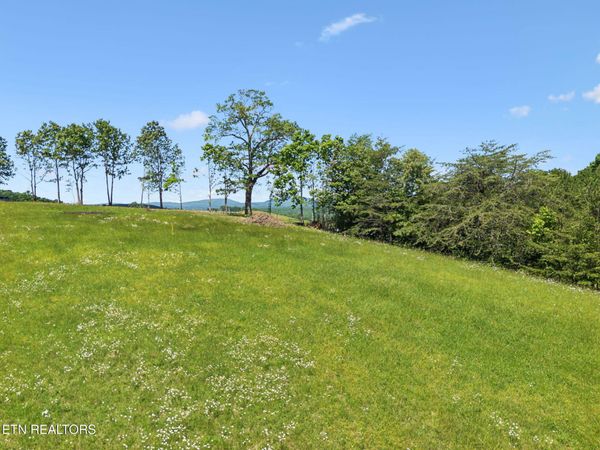 1460 Big Neck Rd, Grandview, TN 37337