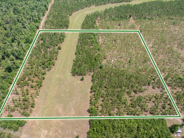 TBD 199TH PL, Live Oak, FL 32060