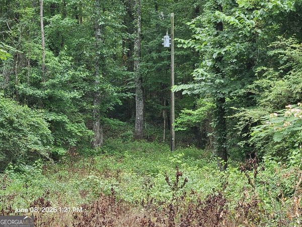0 Davis Road, Macon, GA 31217