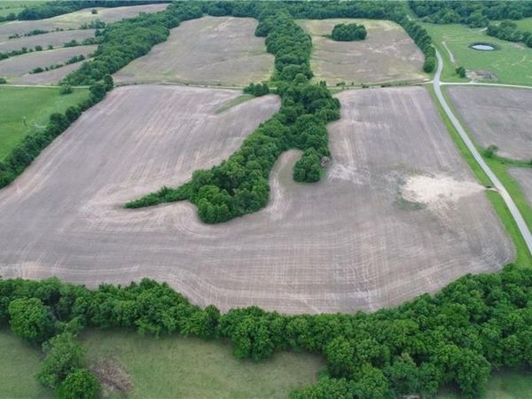 Cotton Road, Purdin, MO 64674