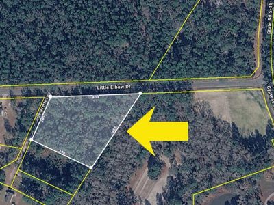 0 Little Elbow Drive, Walterboro, SC 29488