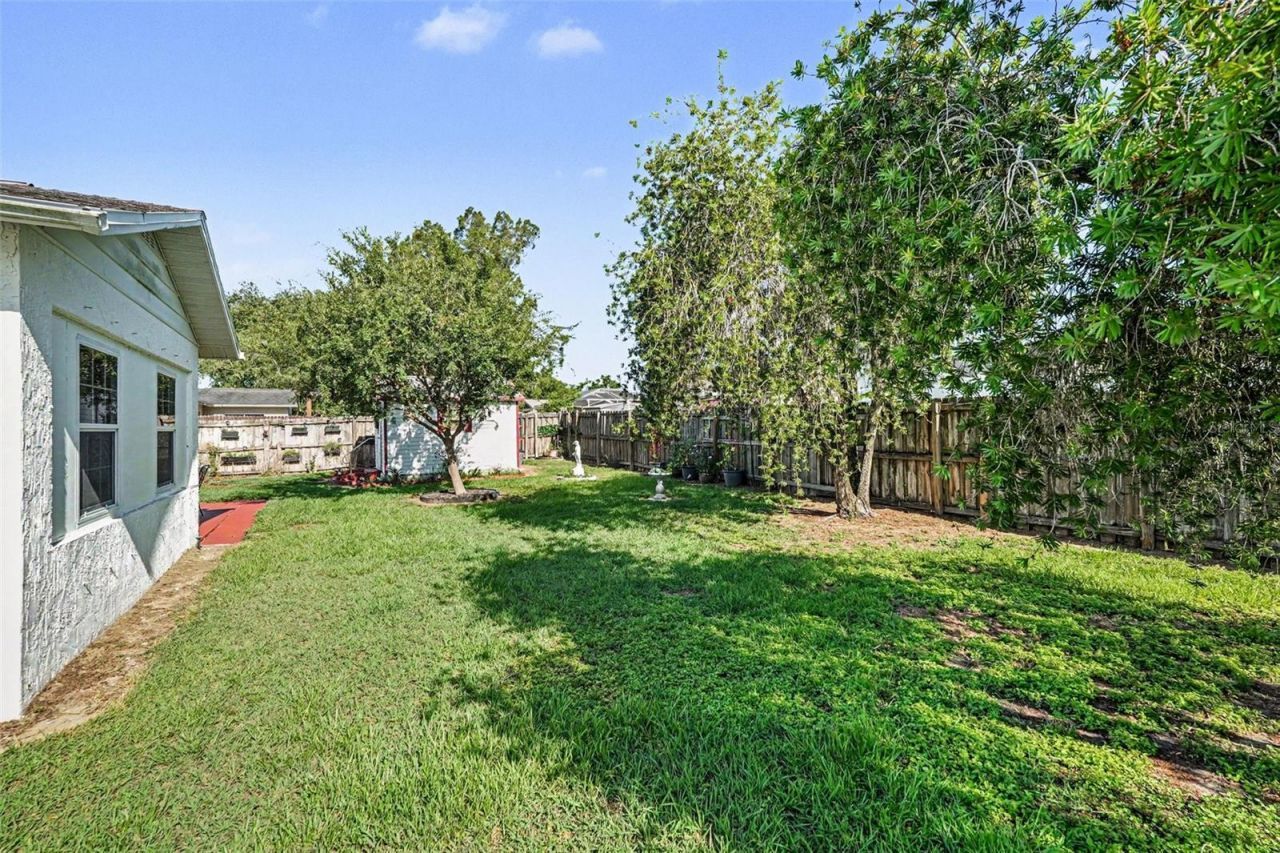 38619 Trellis Avenue , Zephyrhills, FL 33540 Photo