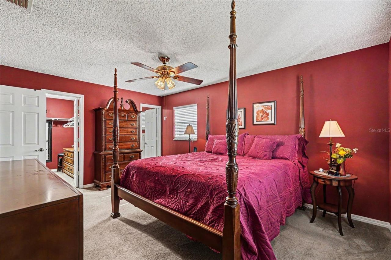 38619 Trellis Avenue , Zephyrhills, FL 33540 Photo