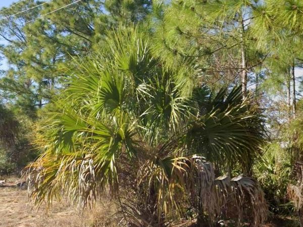 2706 52ND STREET W, LEHIGH ACRES, FL 33971