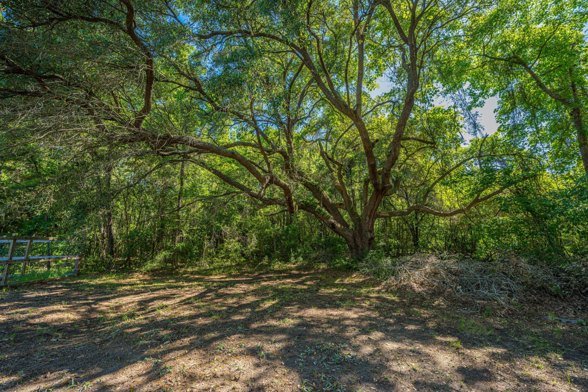 1536 A Boston Grill Road Photo 8