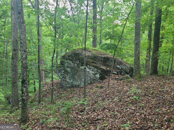 0 Fincherville Rd, Unit TRACT #3, Jackson, GA 30233