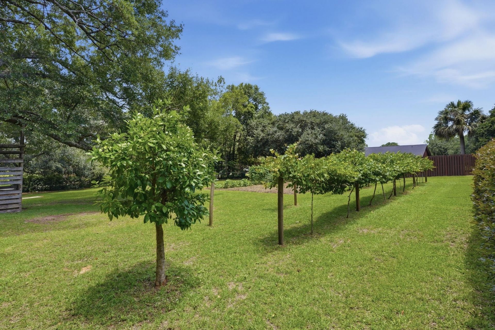 1769 Vineyard Way , Tallahassee, FL 32317 Photo