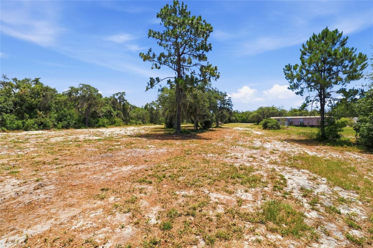Hartman Rd , Lake Wales, FL 33898 Photo