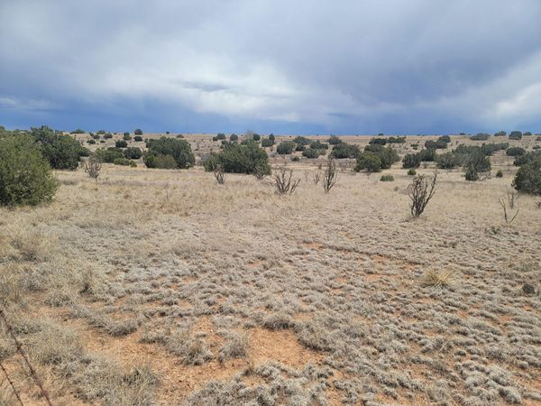 2254 NM 333 , Edgewood, NM 87015