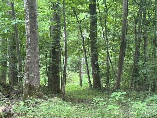 00 Sugar Loaf Mountain Road , Marshall, NC 28753