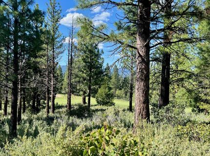 928 Red Sky, Portola, CA 96122 Photo