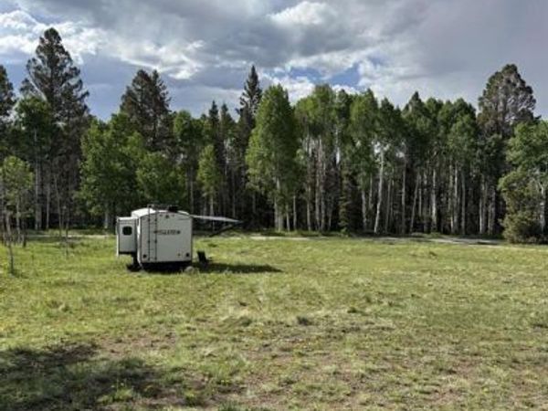 254 Aspen Trail, Cimarron, CO 81220