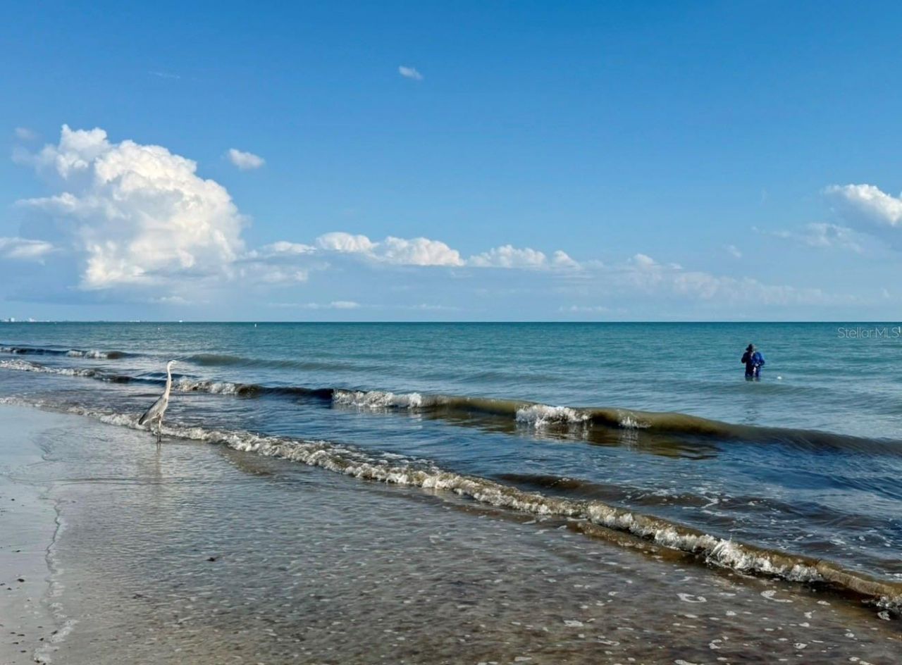 1238 S Missouri Avenue , Unit 102, Clearwater, FL 33756 Photo