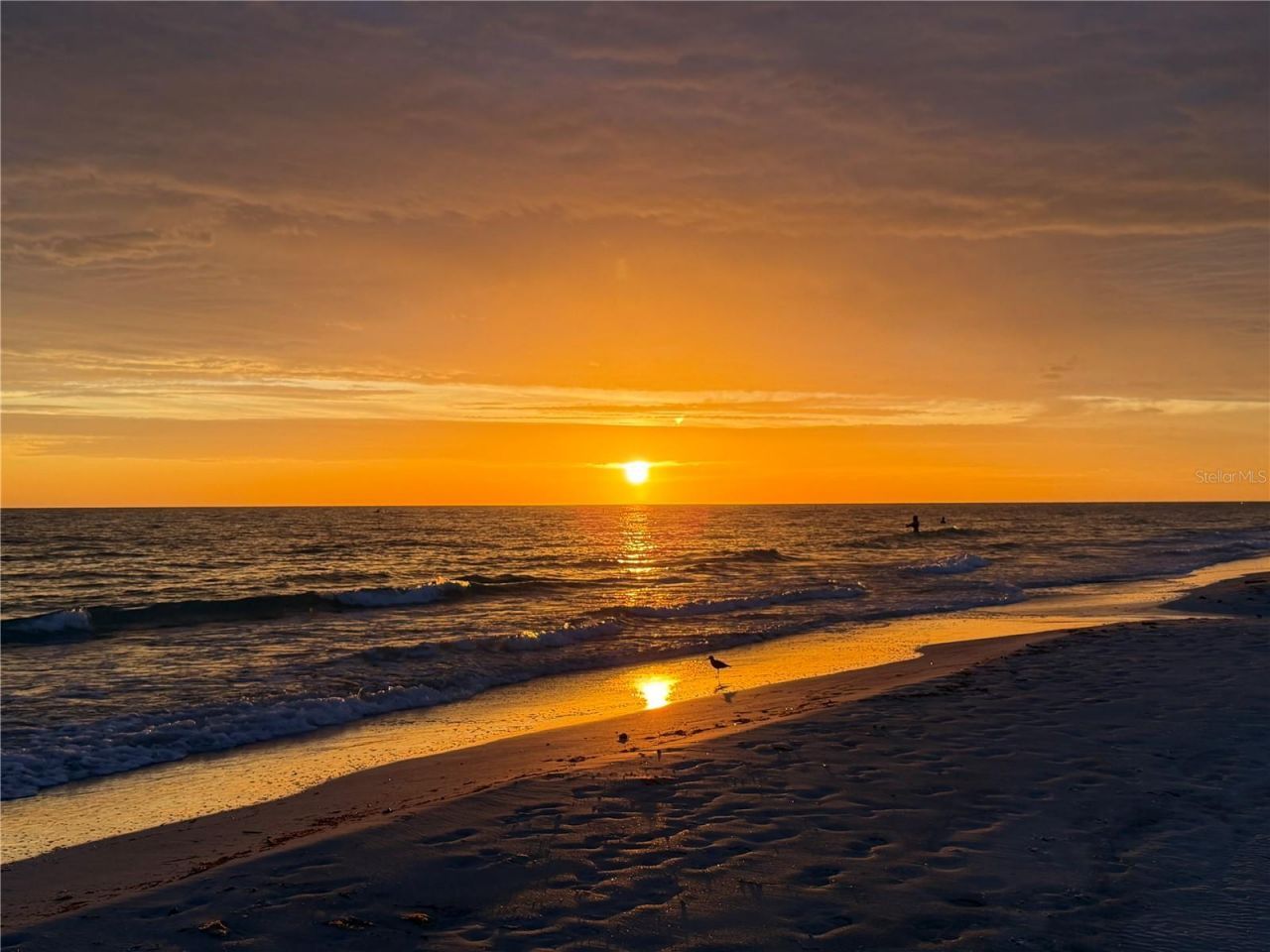 1238 S Missouri Avenue , Unit 102, Clearwater, FL 33756 Photo