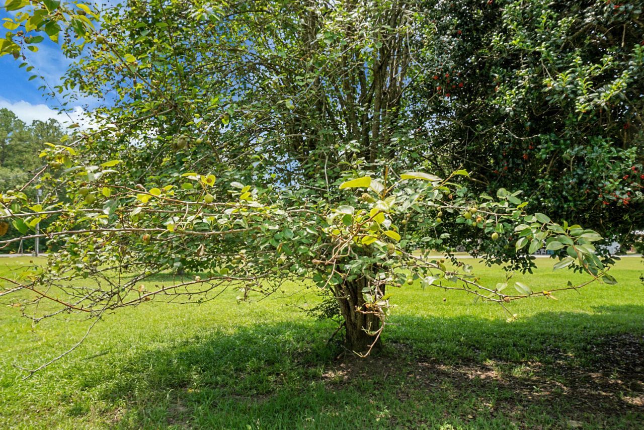 1393 Harristown Road Photo 48
