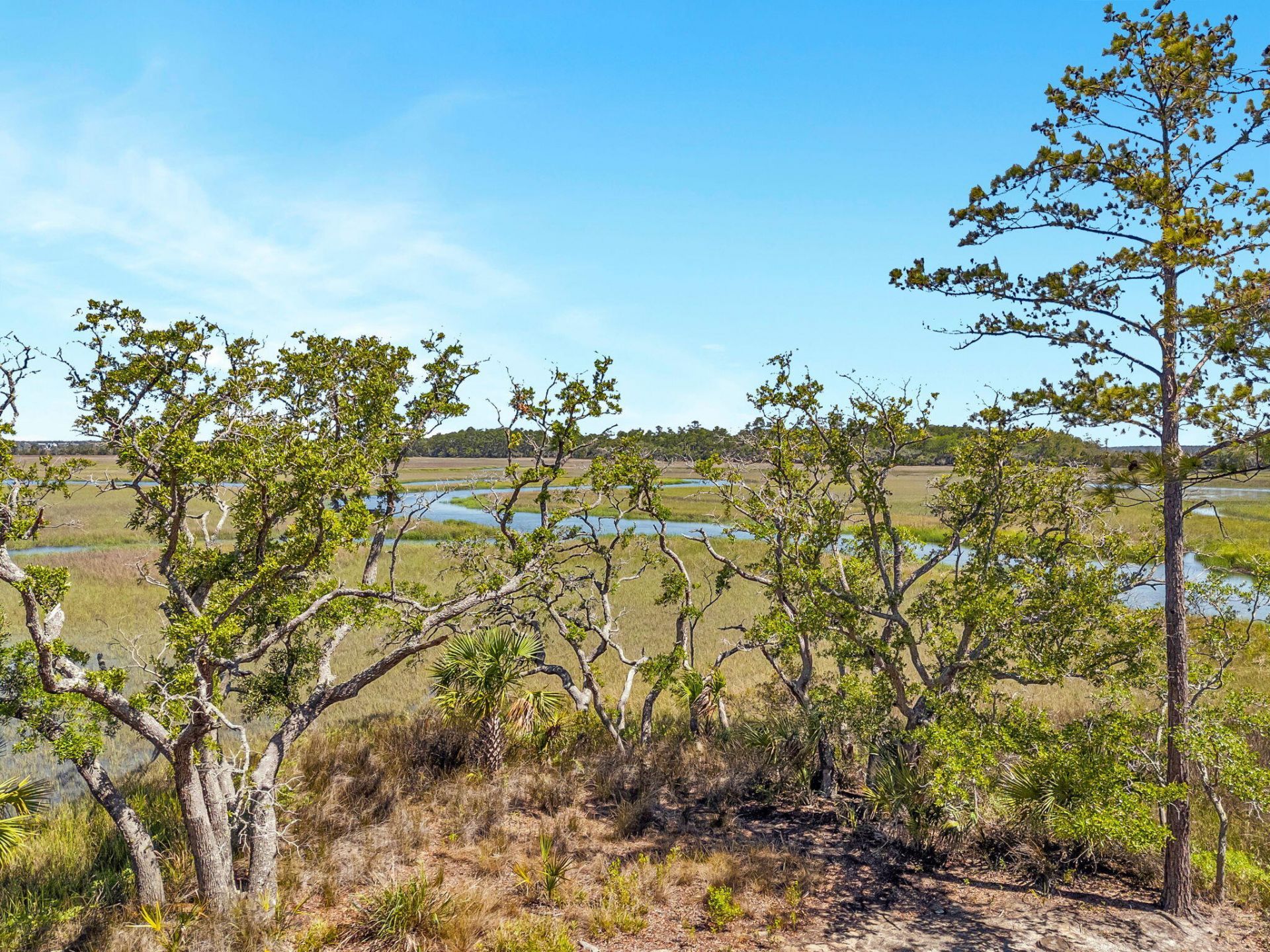 314 River Oak Photo 19