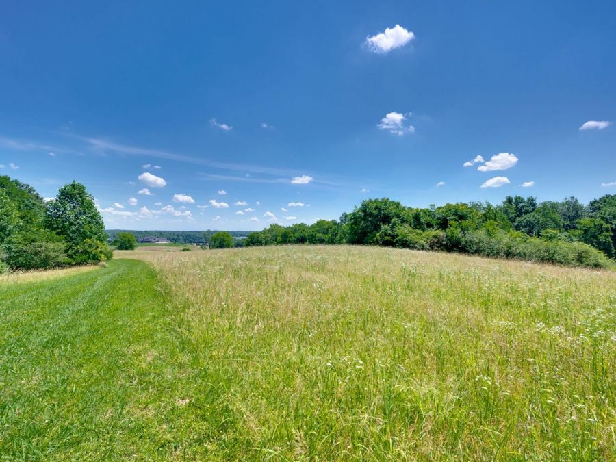 Property Image 81