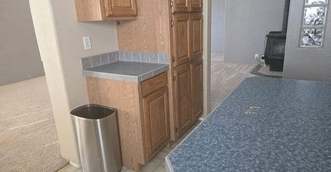 406 W Crowell Field Road, Round Mountain, NV 89045 Photo