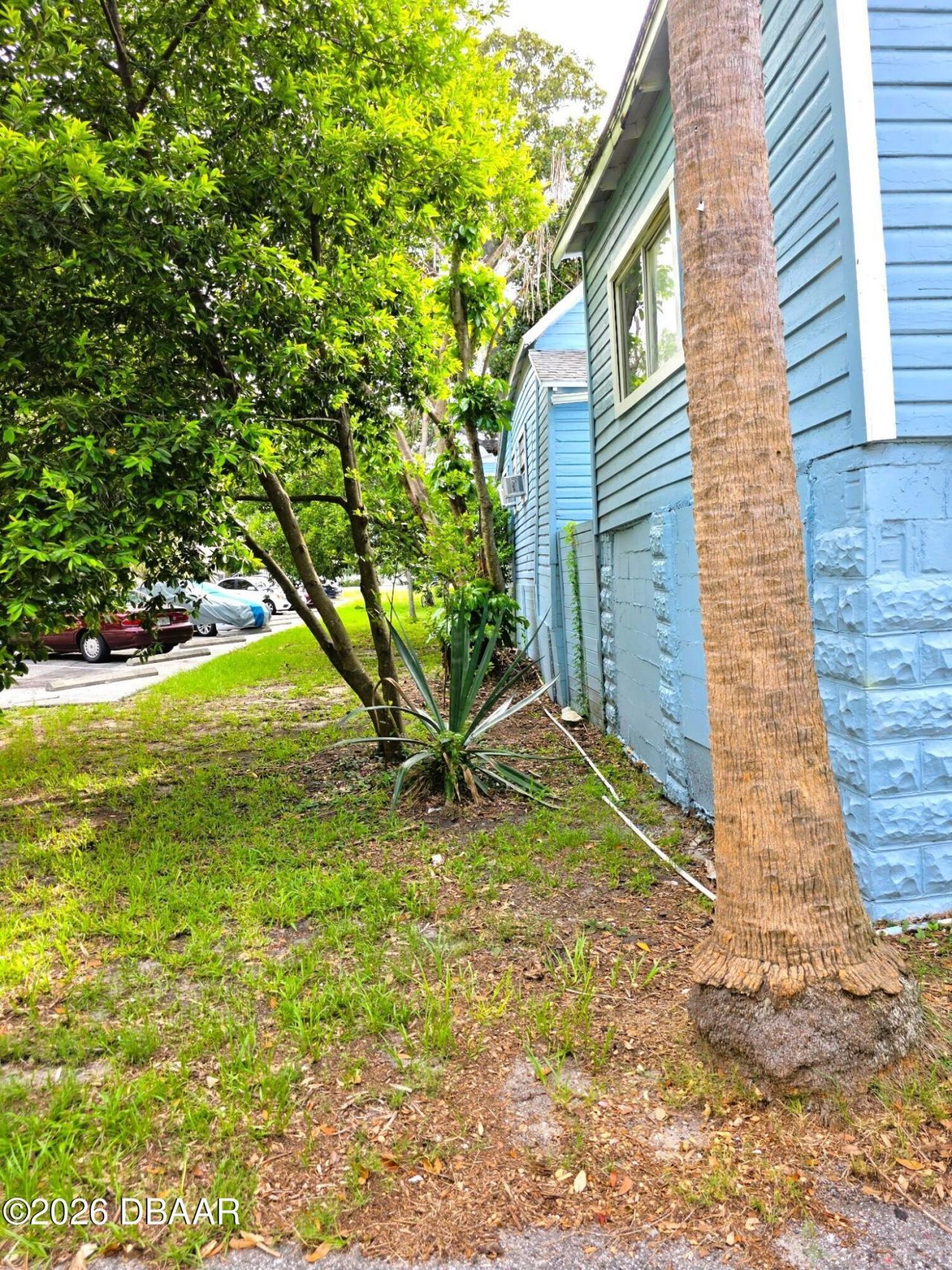 209 S Ridgewood Avenue, Daytona Beach, FL 32114 Photo