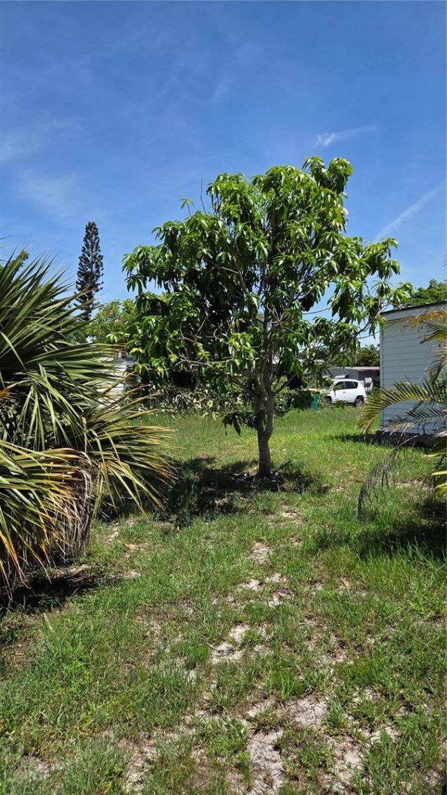 3373 Lucerne Terrace, Port Charlotte, FL 33952 Photo