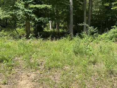 0 S Maugham Drive, Burnside, KY 42519