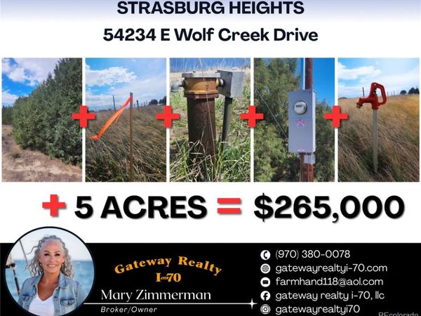 54234 E Wolf Creek Drive , Strasburg, CO 80136