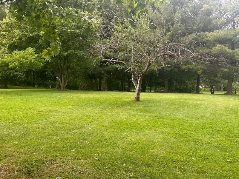 67 Harris Avenue, Norwalk, OH 44857 Photo 3