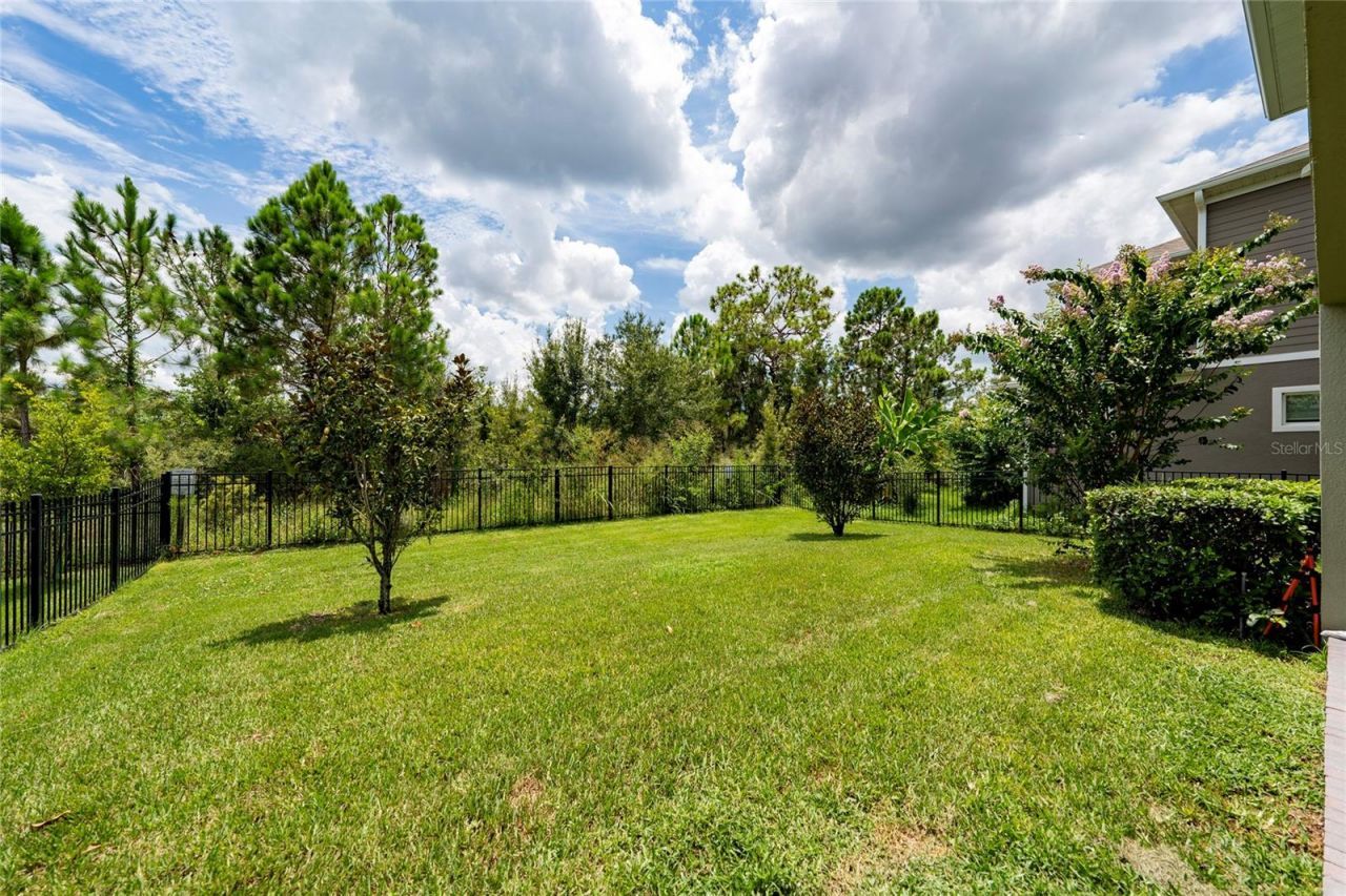 7699 Bowery Drive, Winter Garden, FL 34787 Photo