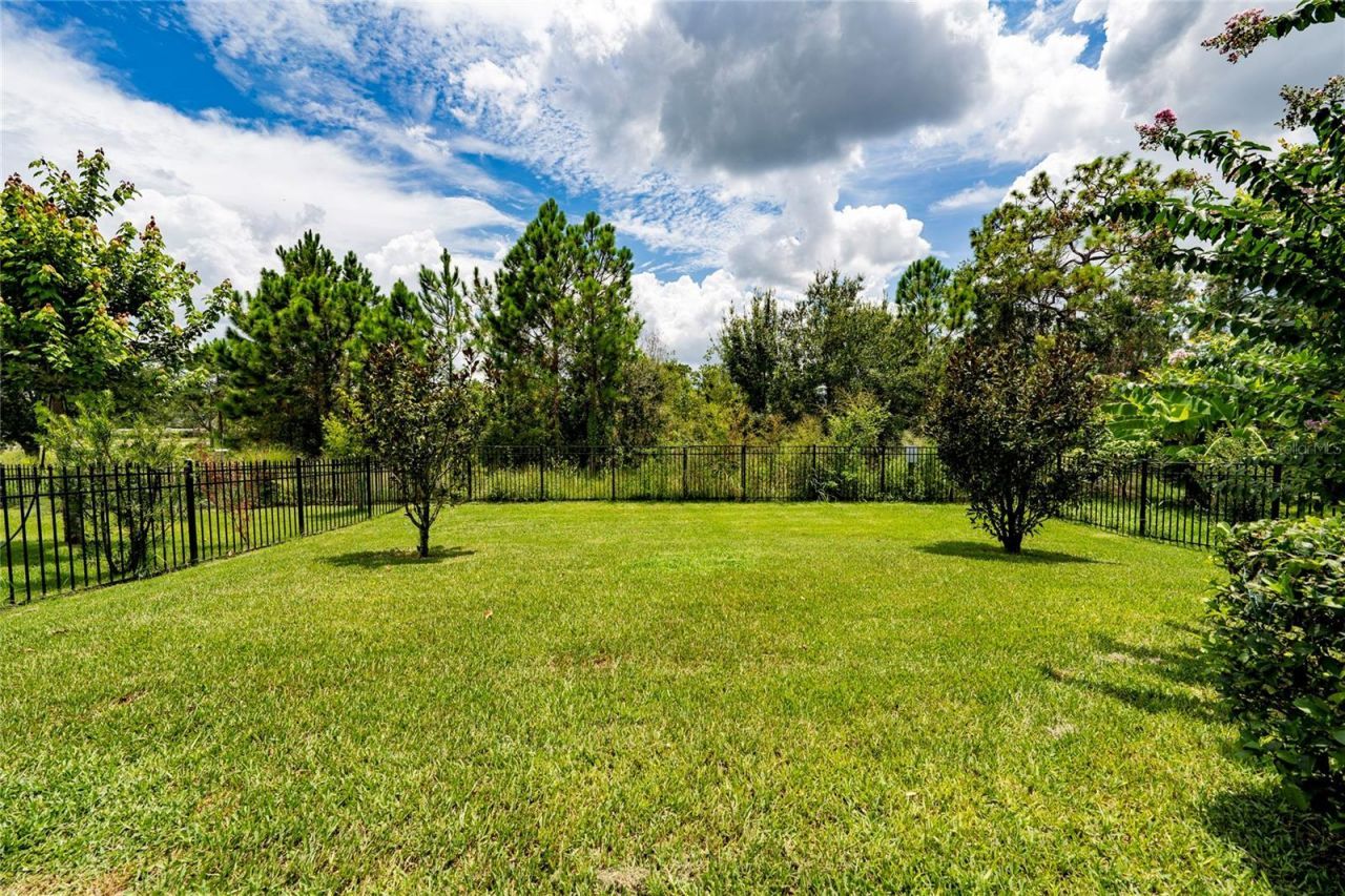 7699 Bowery Drive, Winter Garden, FL 34787 Photo