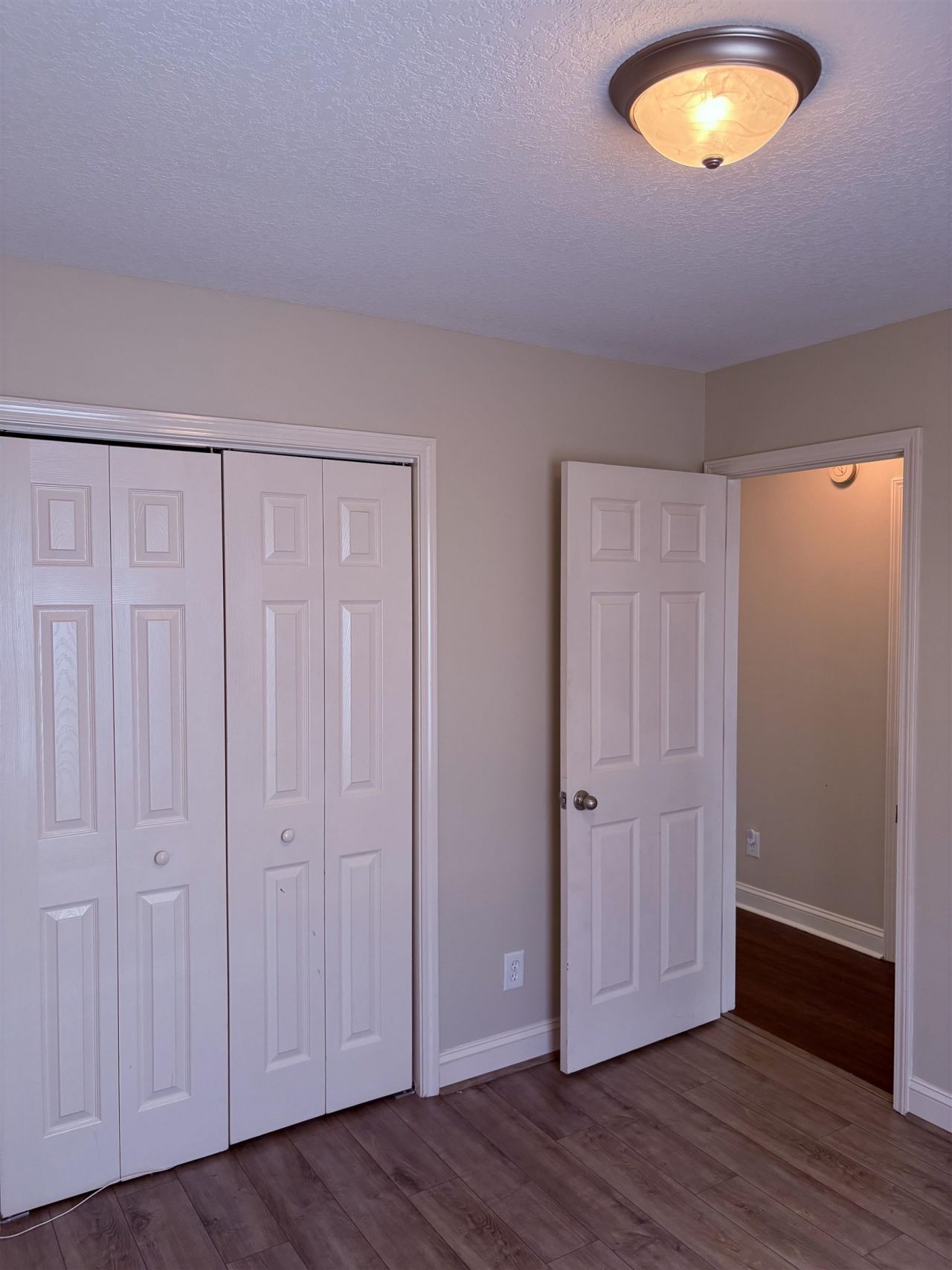 208 Hickory Springs Ct.  Photo 27