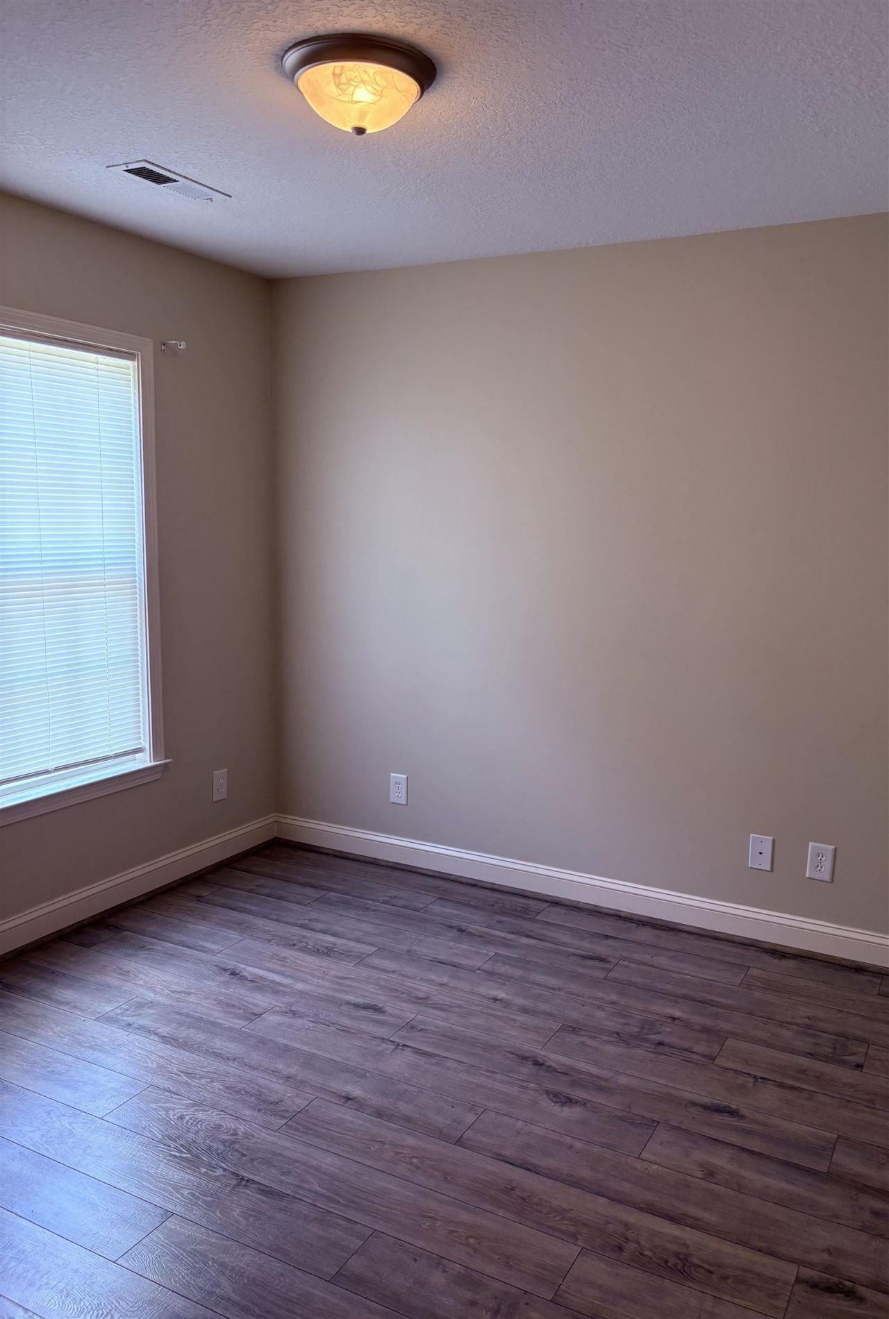 208 Hickory Springs Ct.  Photo 28