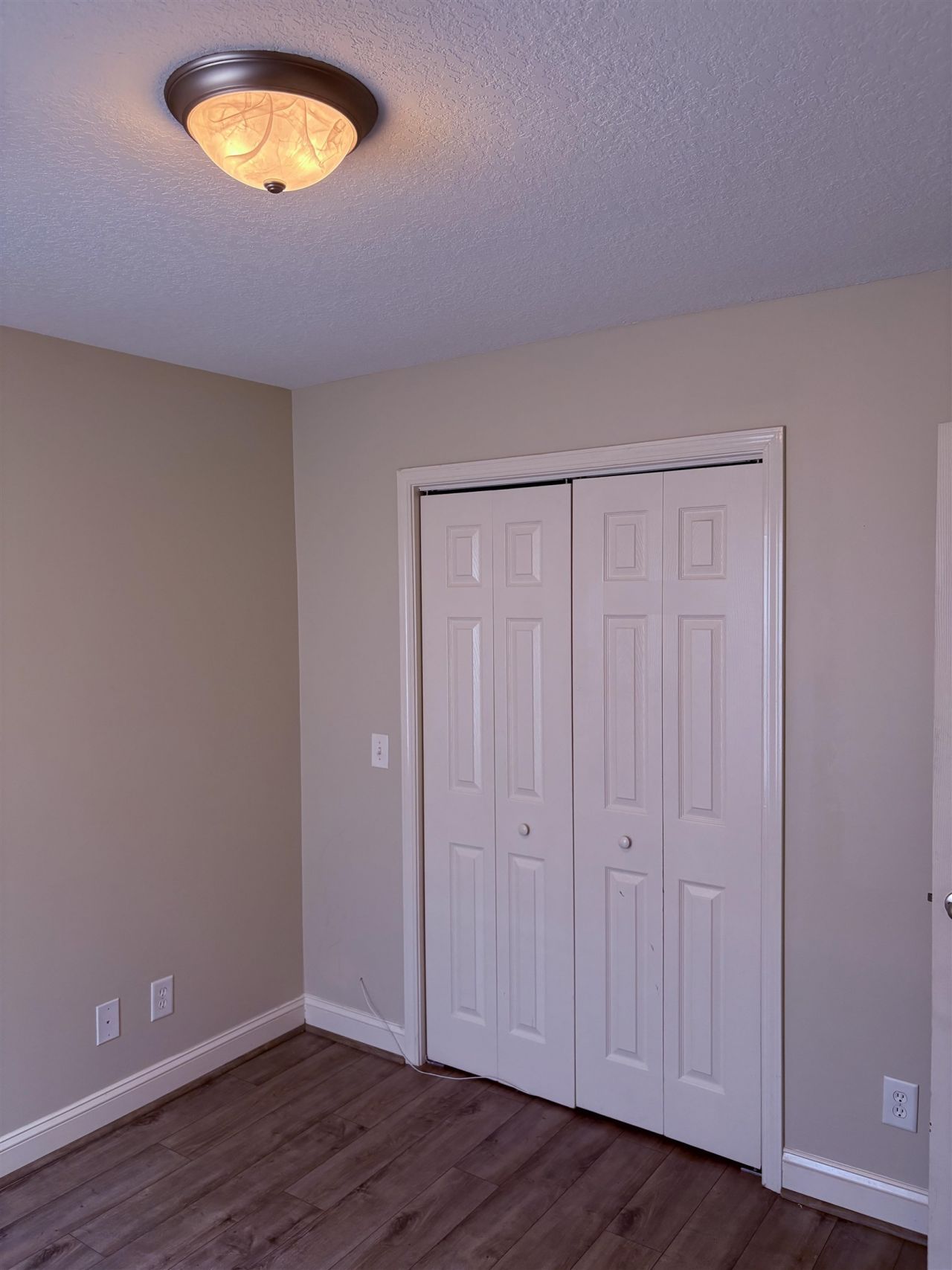 208 Hickory Springs Ct.  Photo 29