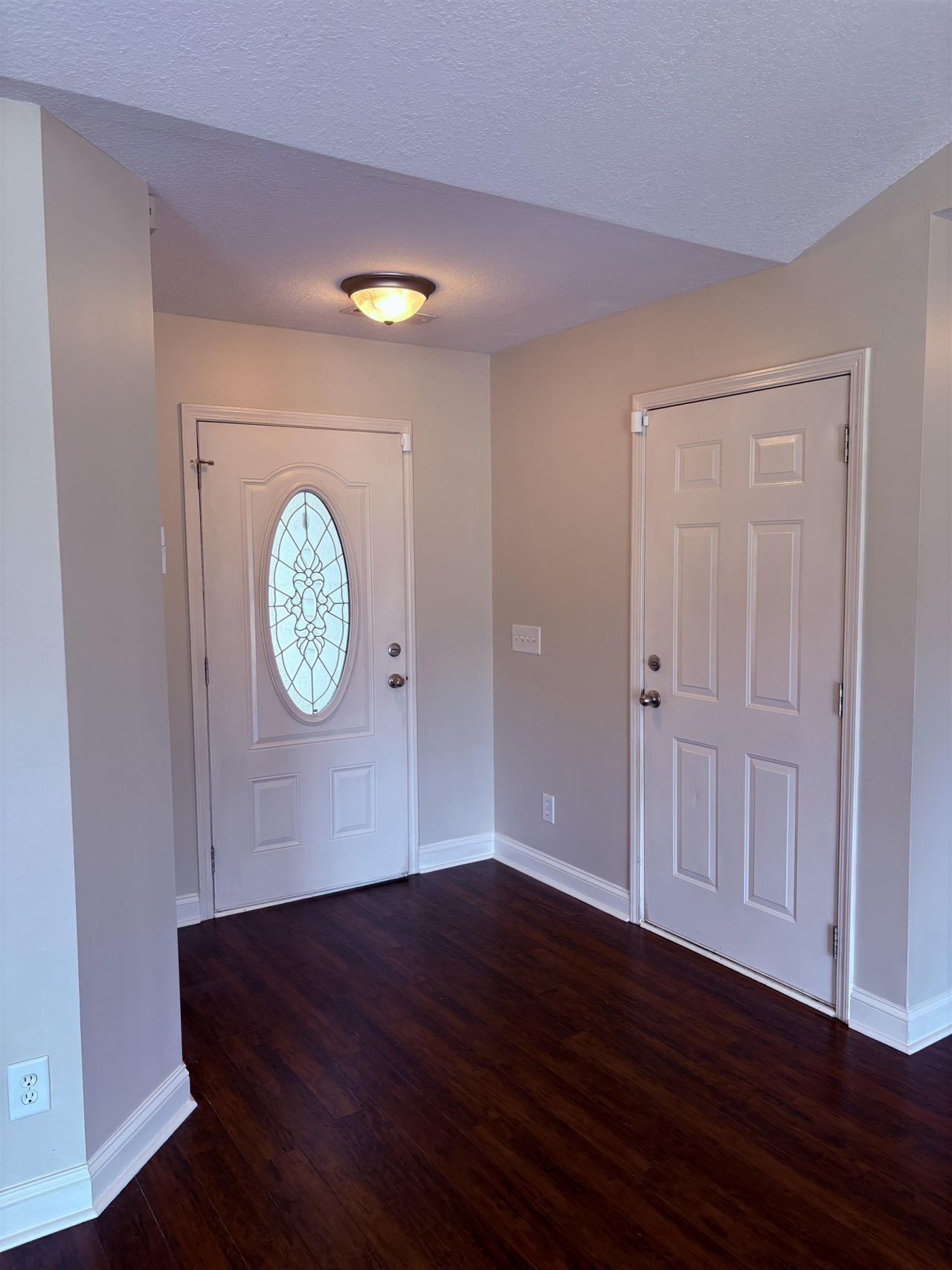 208 Hickory Springs Ct.  Photo 4