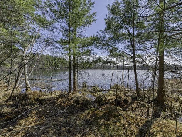 8811 VIRGIN LAKE ROAD, Tomahawk, WI 54487