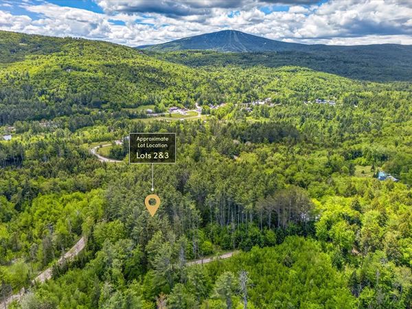 0 Wall Street, Unit Lot 2 & 3, Winhall, VT 05340