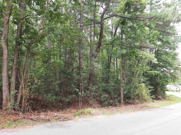 Spring Hollow Drive , Monticello, FL 32344