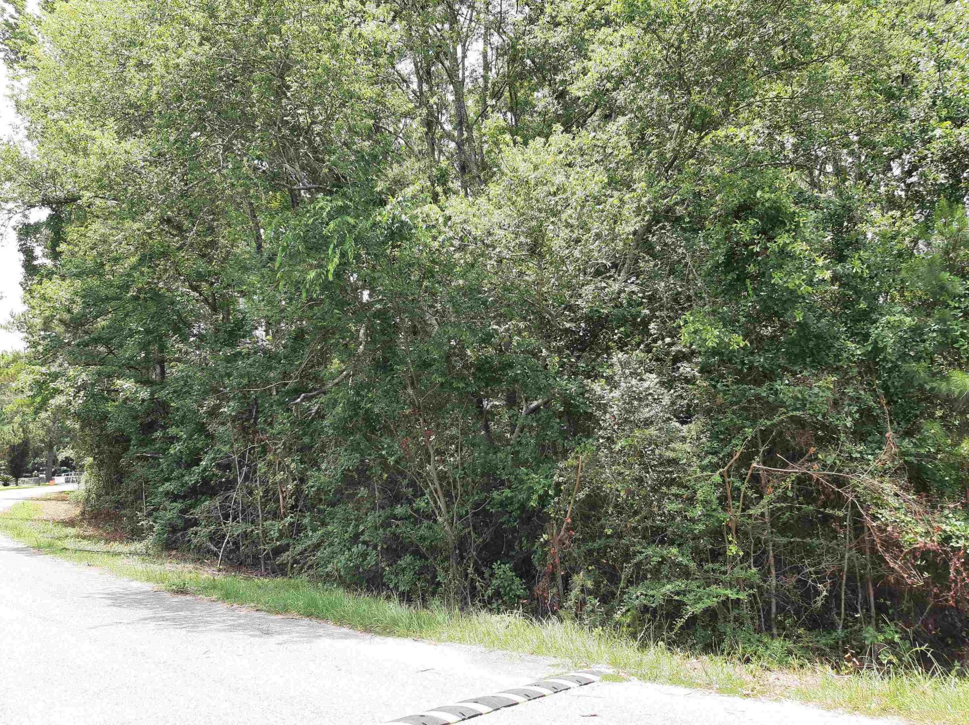 Spring Hollow Drive , Monticello, FL 32344 Photo