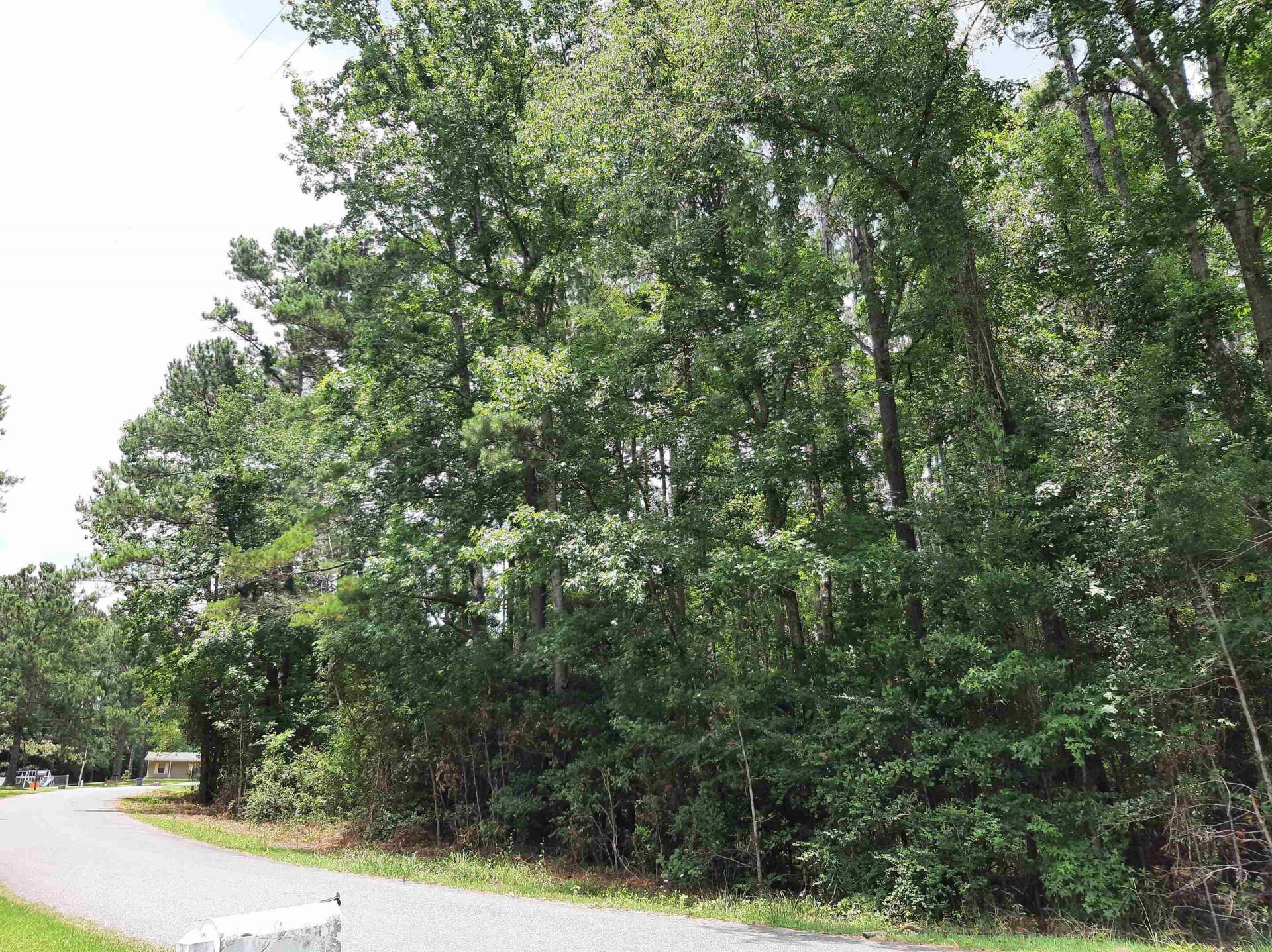 Spring Hollow Drive , Monticello, FL 32344 Photo