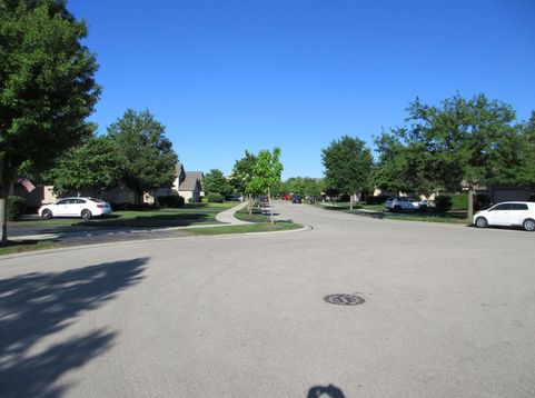 Main Photo