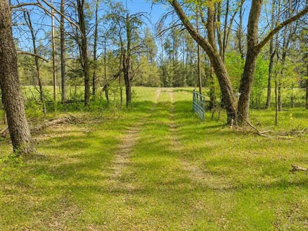 V/L Temple Drive, Marion, MI 49665